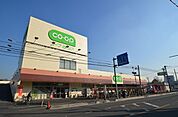 コープ 1100m