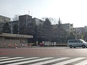 国立埼玉大学 1312m