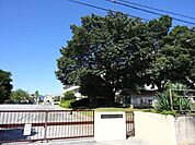 青梅市立河辺小学校　愛鳥博士　河辺小ドリルと独自の教育を行う　「ことばときこえの教室」併設　学童保育は学校内に併設 609m