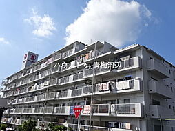 河辺ダイヤモンドマンション:外観