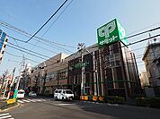 サミットストア 鷺宮店（227m）