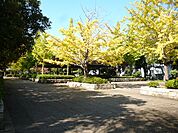 公園 ファミリースポーツ広場  50m