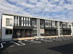 グラティテュード.T