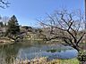 その他：県立三ッ池公園は神奈川県桜の名所百選に選ばれています