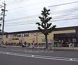 万代 嵯峨広沢店まで5m 丸太町通り沿いにございます 駐車場も広めです