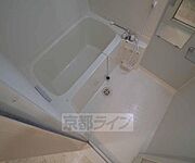 広々としています。