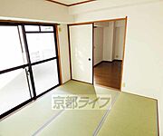 別の角度からの写真です。