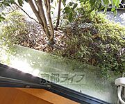 バルコニです。