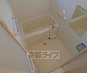 綺麗なバスです。