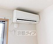 夏冬大活躍