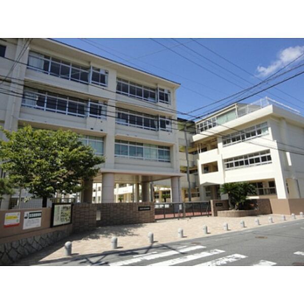 画像16:小学校「広島市立緑井小学校まで359ｍ」
