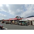 ホームセンター「ホームセンタージュンテンドー古市まで1316ｍ」