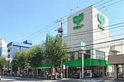 サミットストア鷺宮店 880m