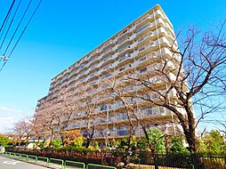 物件画像 蓮根ファミールハイツ1号棟