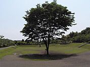 宇津貫公園（3392m）