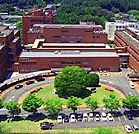 東京医科大学八王子医療センター（4435m）