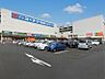 周辺：ライフ相模原モール店まで約745m