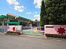 周辺：町田すみれ幼稚園まで約728ｍ