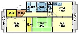 マーブルコート 3DKの間取図画像