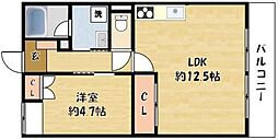 カーサフェリス 1LDKの間取図画像