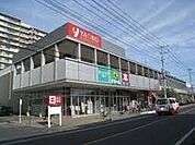 ヤオコー岩槻西町店 1019m