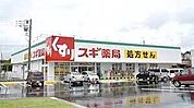 スギ薬局岩槻駅東口店 1103m