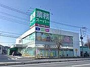 業務スーパー蓮田店 758m