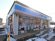 ローソン白岡千駄野店 251m