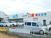 ウエルシア上尾柏座店 641m