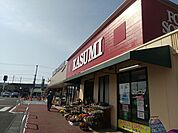 カスミ白岡店 1113m