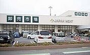 ジャパンミート卸売市場さいたま北店 772m