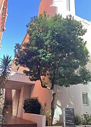 イワオアネックス