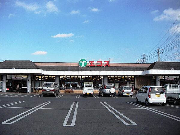 画像28:【スーパー】（株）TAIRAYA 川島店まで1095ｍ