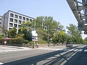 国立大阪大学文学部 1196m