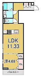 アナシエ亀有 1LDKの間取図画像