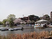 石神井公園まで徒歩３分