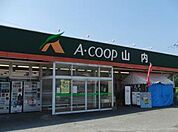 A-コープ(90m)