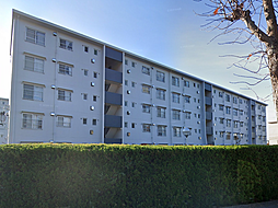 物件画像 ひよどり台5団地28号棟