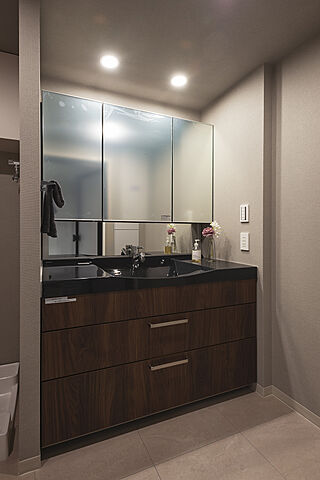 洗面 CAPITAL GATE PLACE THE TOWER 31階/-