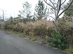 物件画像 滋賀県高島市永田