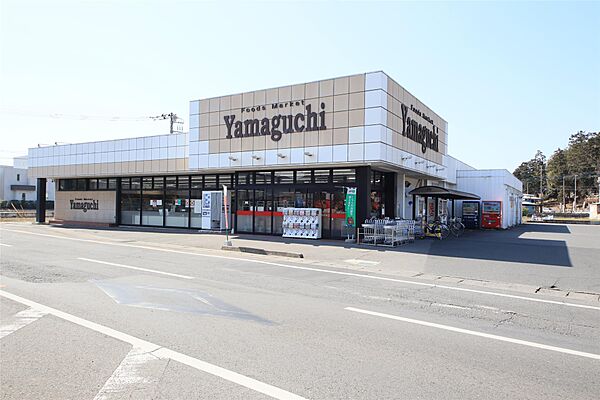 画像6:ヤマグチスーパー毛野店(734m)