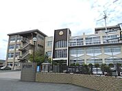 私立足利大学附属高校(243m)