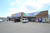 ゲオ足利店(805m)
