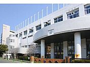 台東区立東泉小学校まで524m