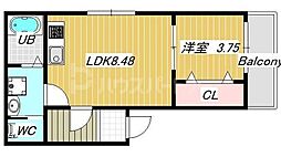 Belle terrace 3階