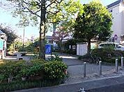 中野区立ゆりの木公園まで約260ｍです。