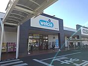 ドラッグストア 「ウエルシア富士青島店まで818m」