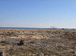 物件画像 美浦村大山売地