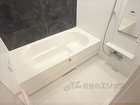 ミガダーヤ 103 ｜ 滋賀県守山市水保町字北川（賃貸アパート1LDK・1階・50.02㎡） その3