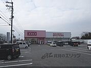 コスモス　蒲生日野店まで1300メートル